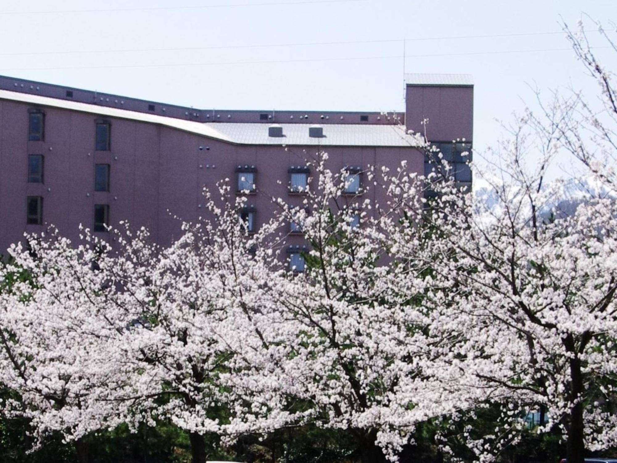 Itoigawa Hotel Kunitomi Annex - Vacation Stay 12072V מראה חיצוני תמונה